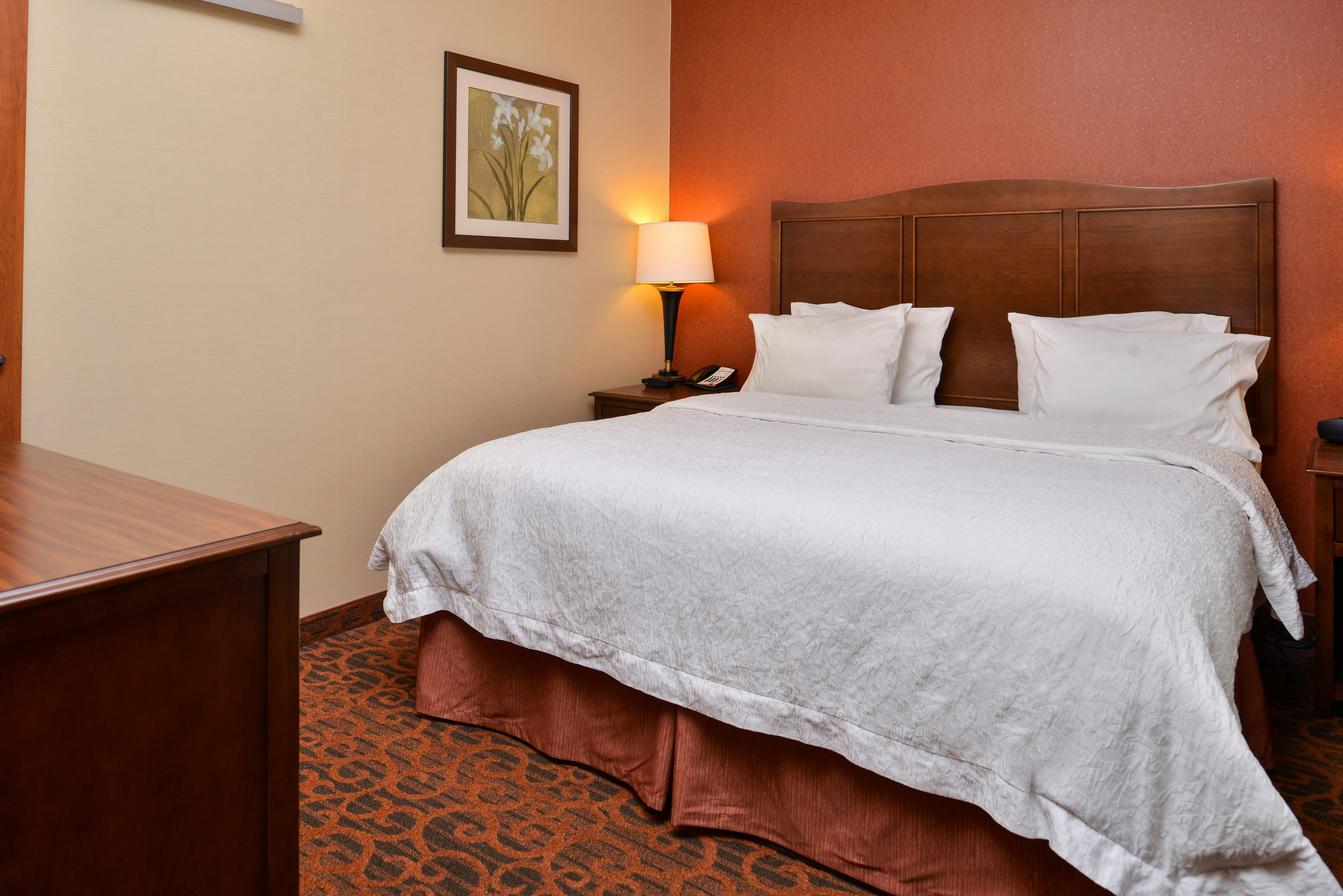 Hampton Inn Idaho Falls Airport 13/64