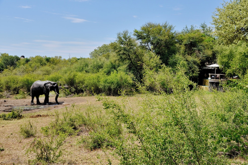 Motswiri Private Safari Lodge 63/67
