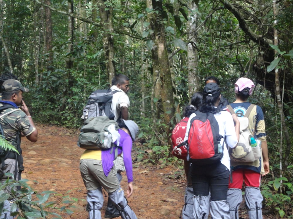 Mahoora Tented Safari Camp - Sinharaja 20/31