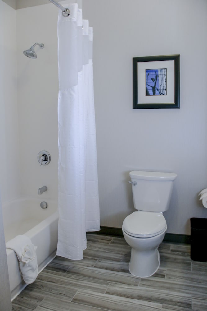 Standard, 2 Queen Beds, Accessible, Holiday Inn Hotel Suites Denver Tech Center Centennial 6/8
