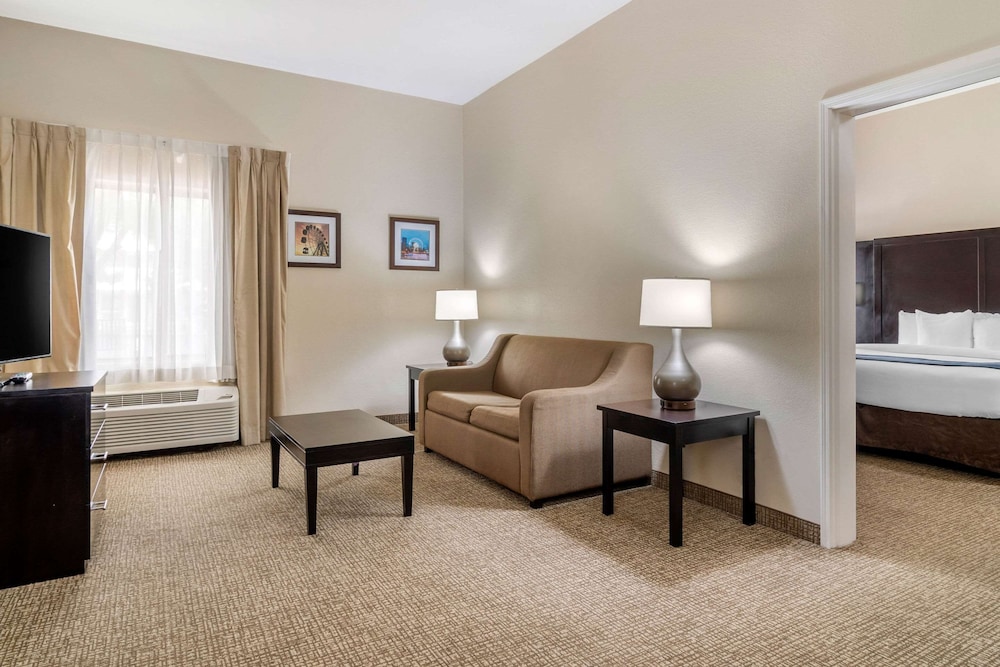 Comfort Inn & Suites Atlanta/Smyrna 27/35