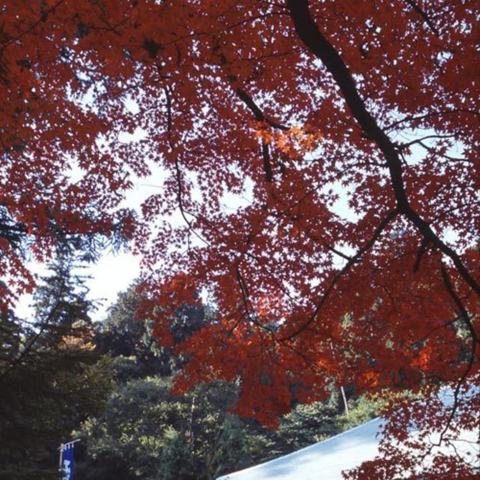 Kyukamura Setouchi-Toyo 76/78