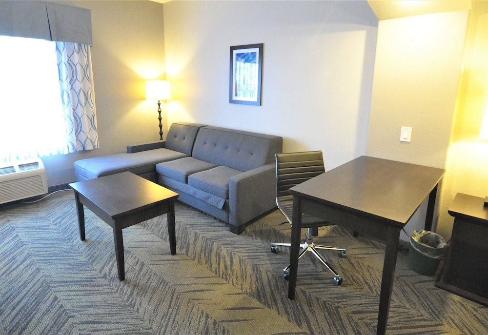 La Quinta Inn & Suites by Wyndham-Brookshire-West Katy 27/39