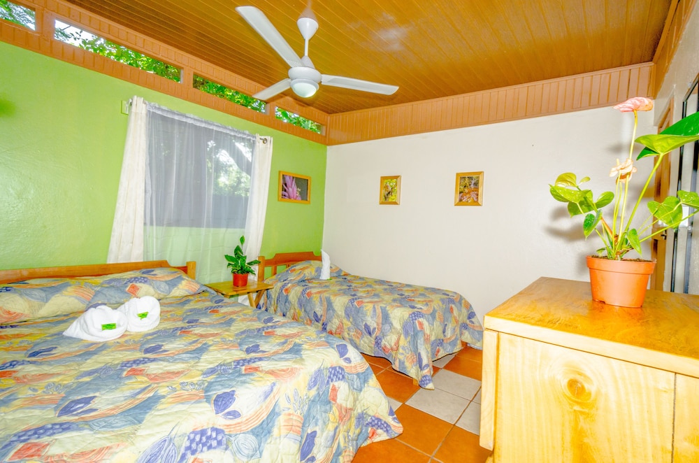 Hotel Playa Samara 27/50
