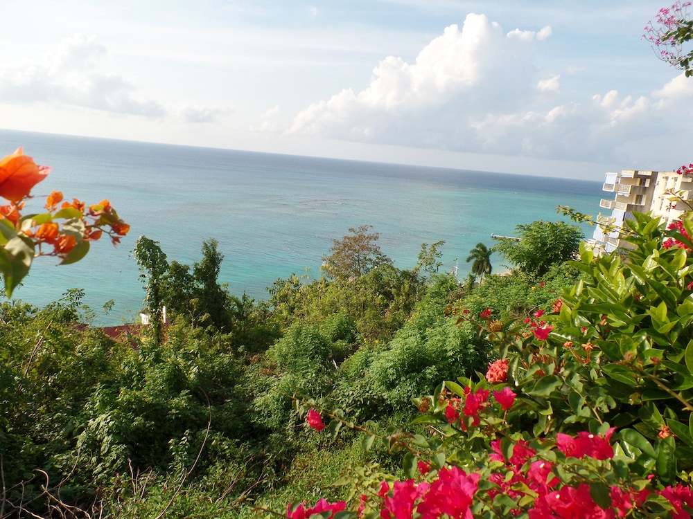 Court Manor at Montego Bay Club 34/50