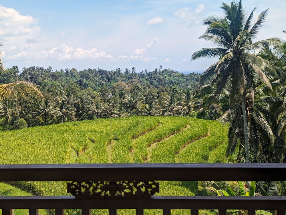 Puri Dajuma Terrace Eco-Lodge & Spa 44/47