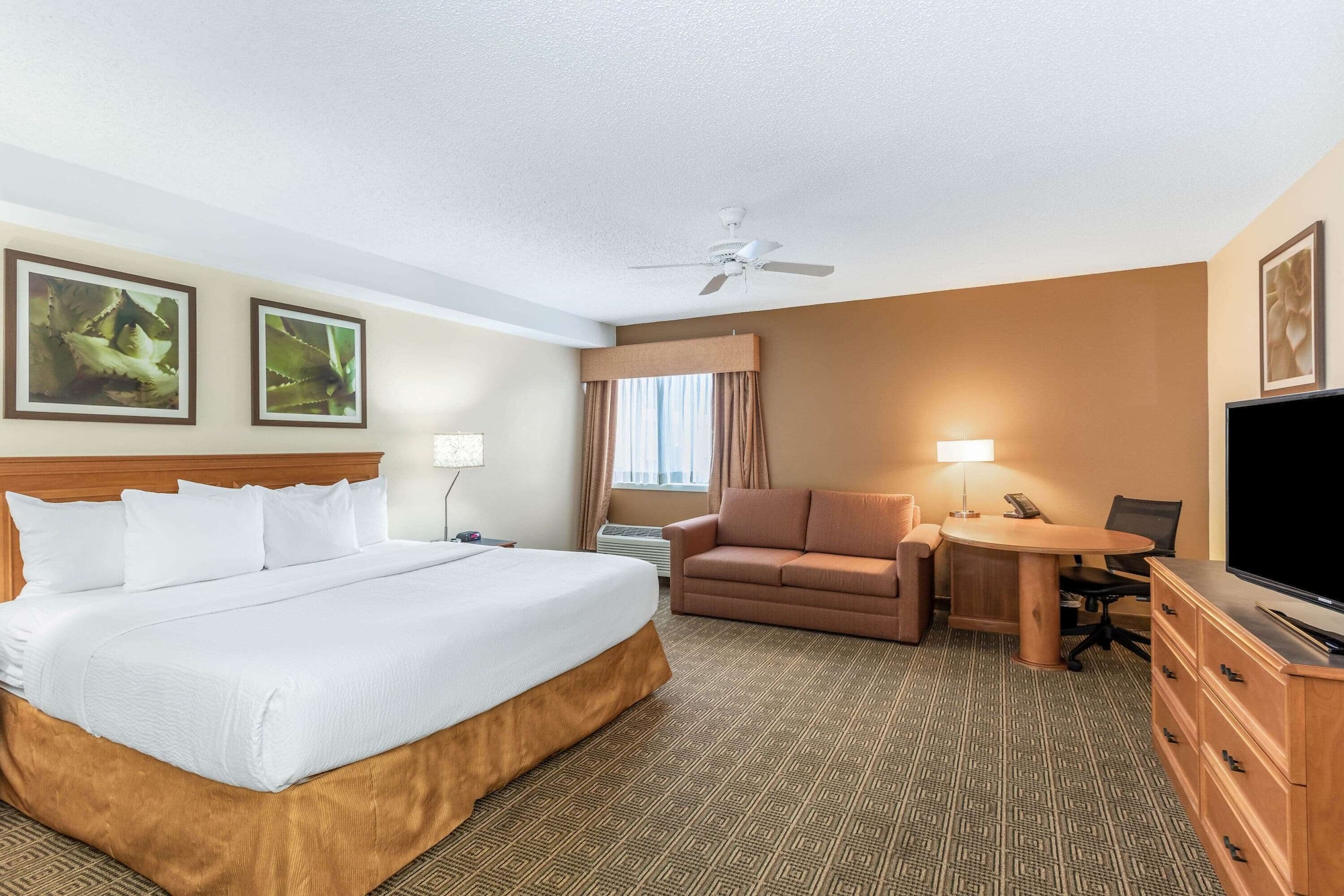 1 Bedroom, Suite, King Bed
