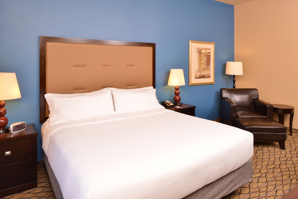 Holiday Inn Express Hotel & Suites Wichita Falls 26/52