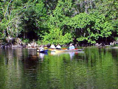 Best Western Inn of Palatka 36/38
