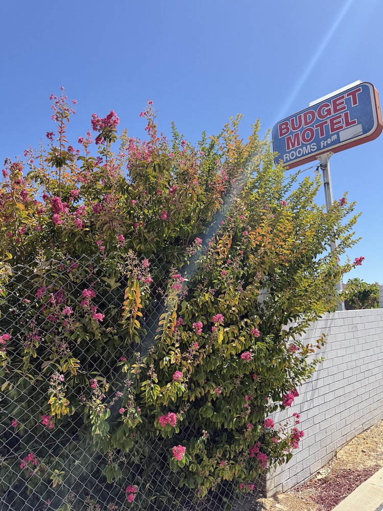 Budget Motel 38/46