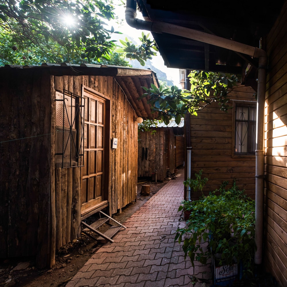Olympos Orange 9/50