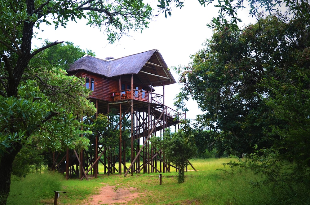 Pezulu Tree House Lodge 42/50