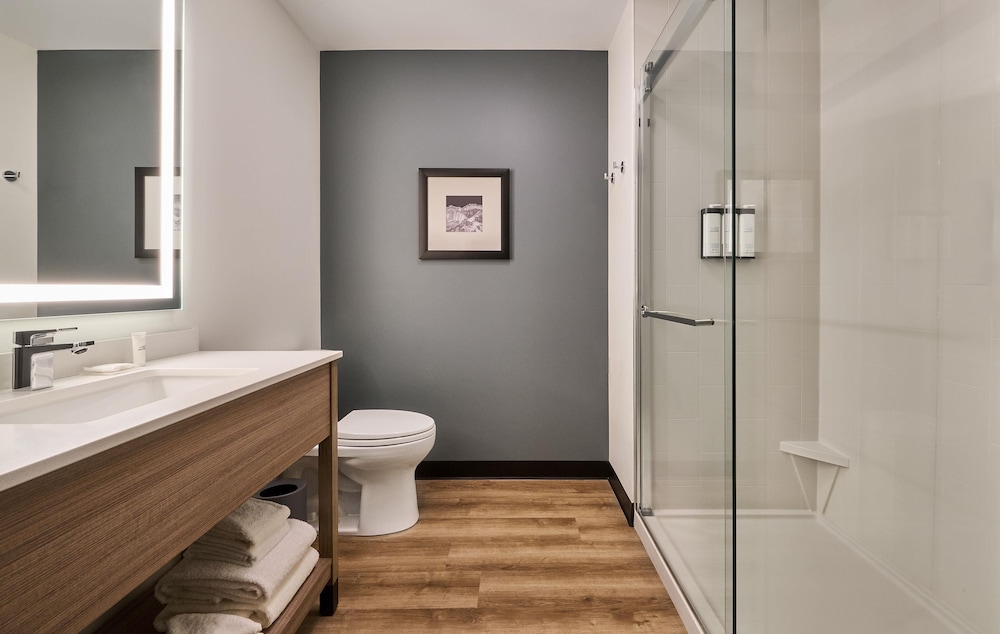 Guest Room, King Bed, Hyatt Place Nashville Opryland 4/6