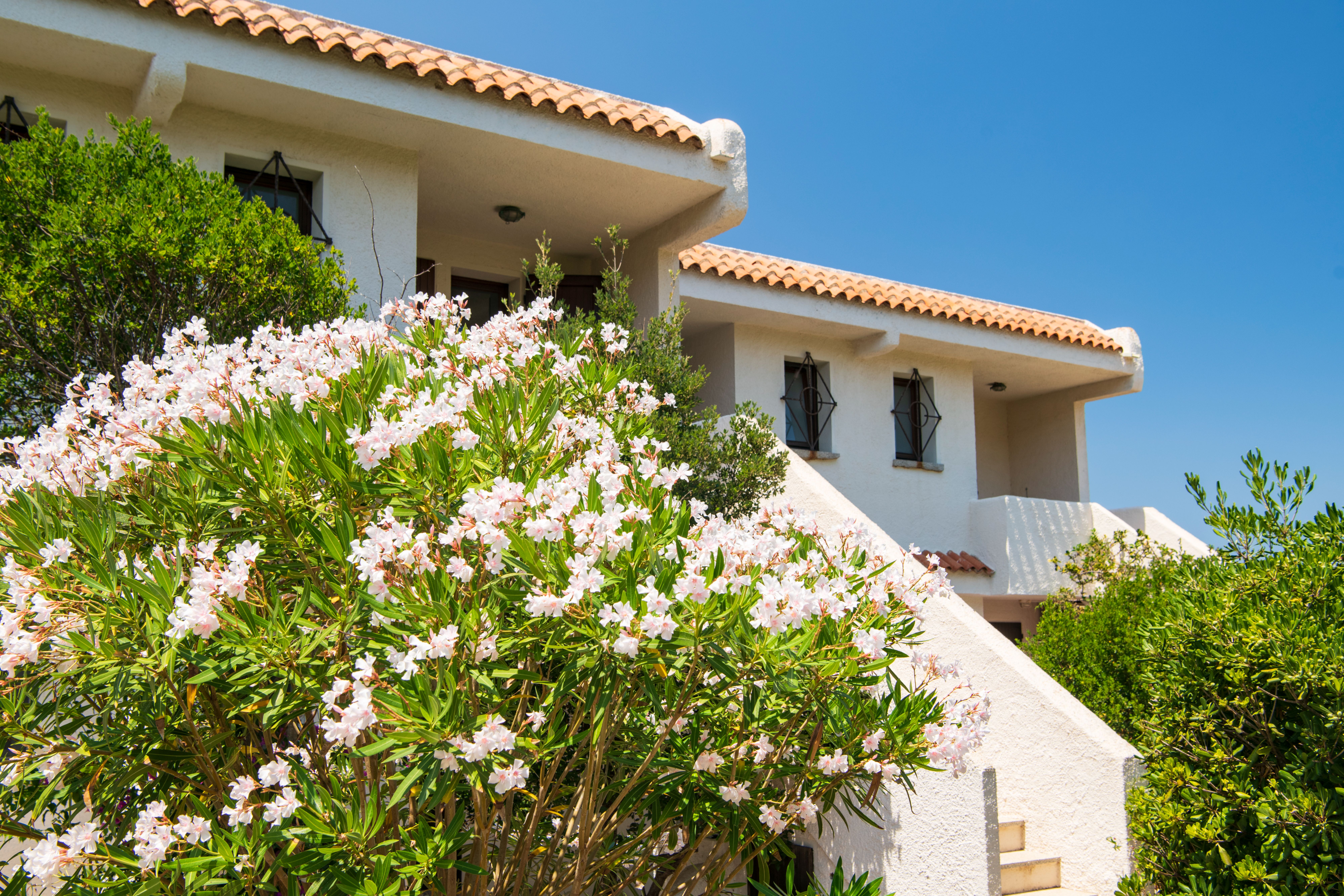 Residence Baia Santa Reparata 38/40
