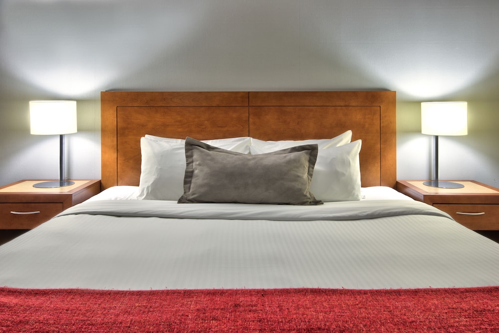 Clarion Pointe魁北克机场酒店(Clarion Pointe Quebec Airport) 图片3