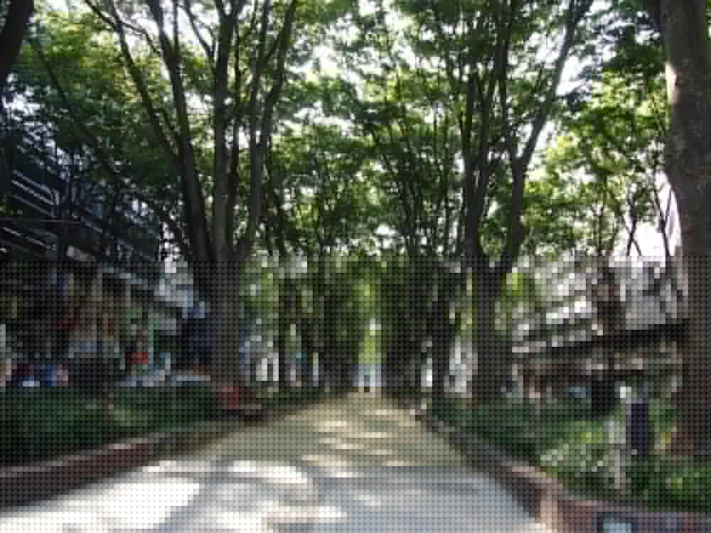 Koyo Grand Hotel 37/65