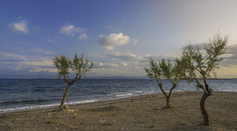 Oasis Beach Hotel Spa 70/76