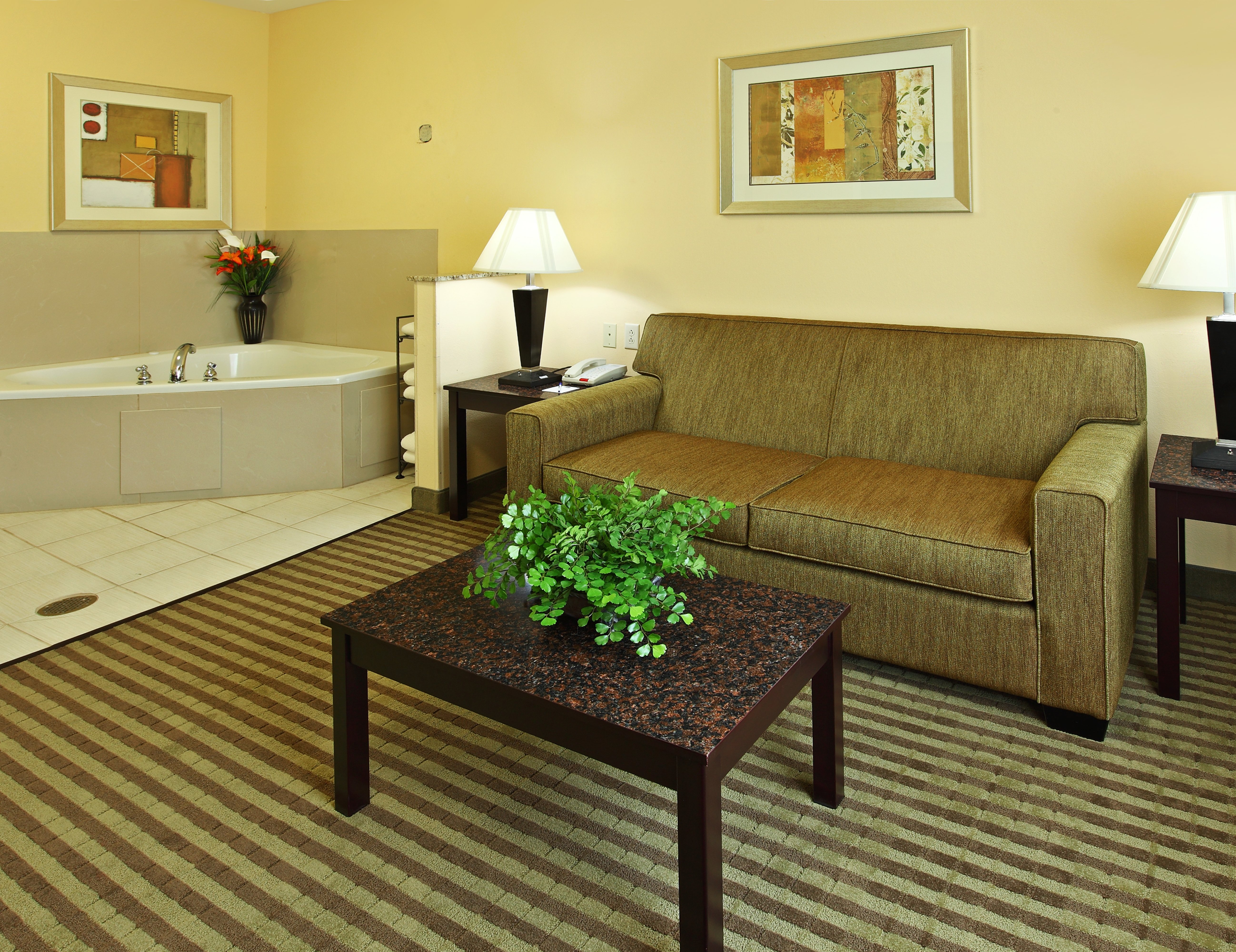Holiday Inn Express Hotel And Suites Carthage 52/79
