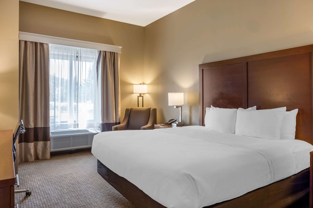 ROOM, KING BED, ACCESSIBLE