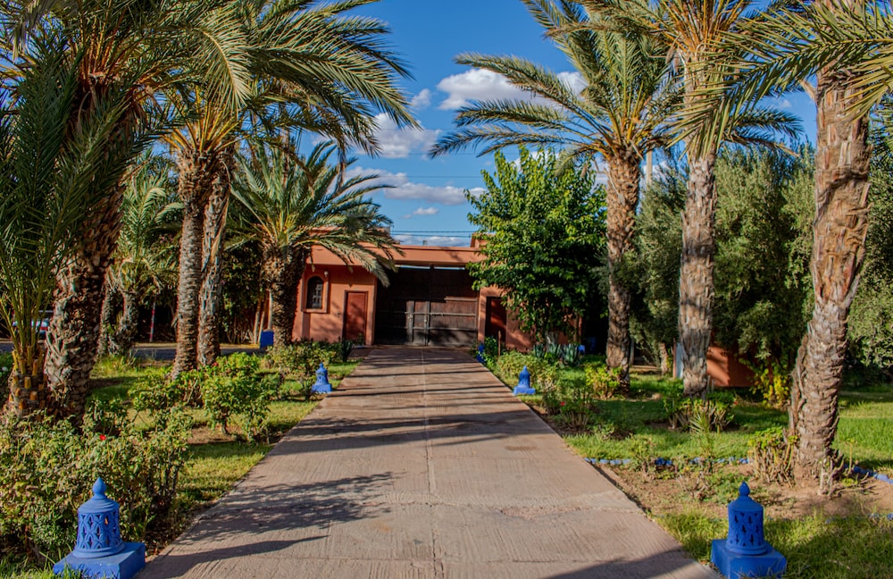Riad Las Palmeras 48/50