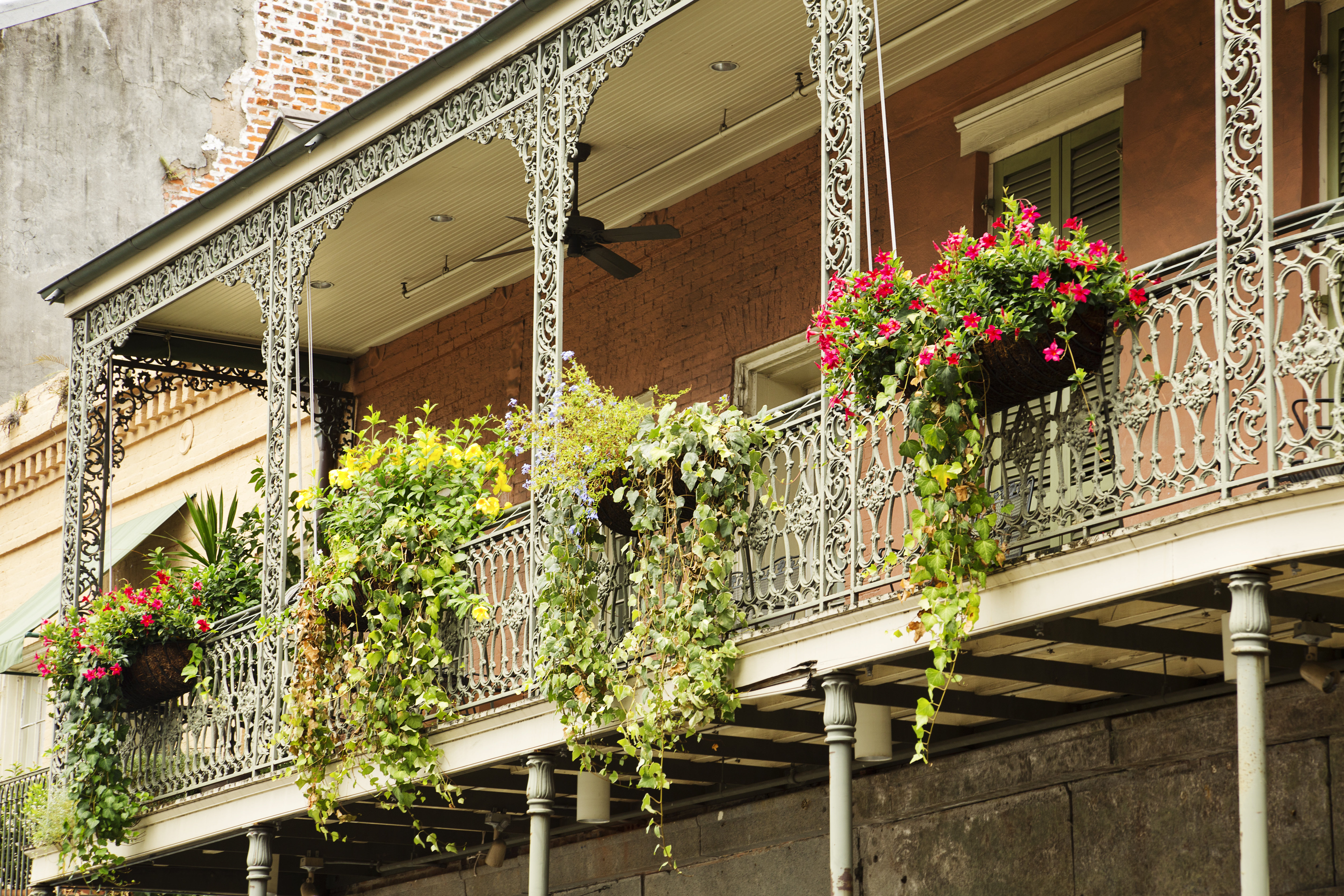Hotel Indigo New Orleans French Quarter in NEW ORLEANS - LA