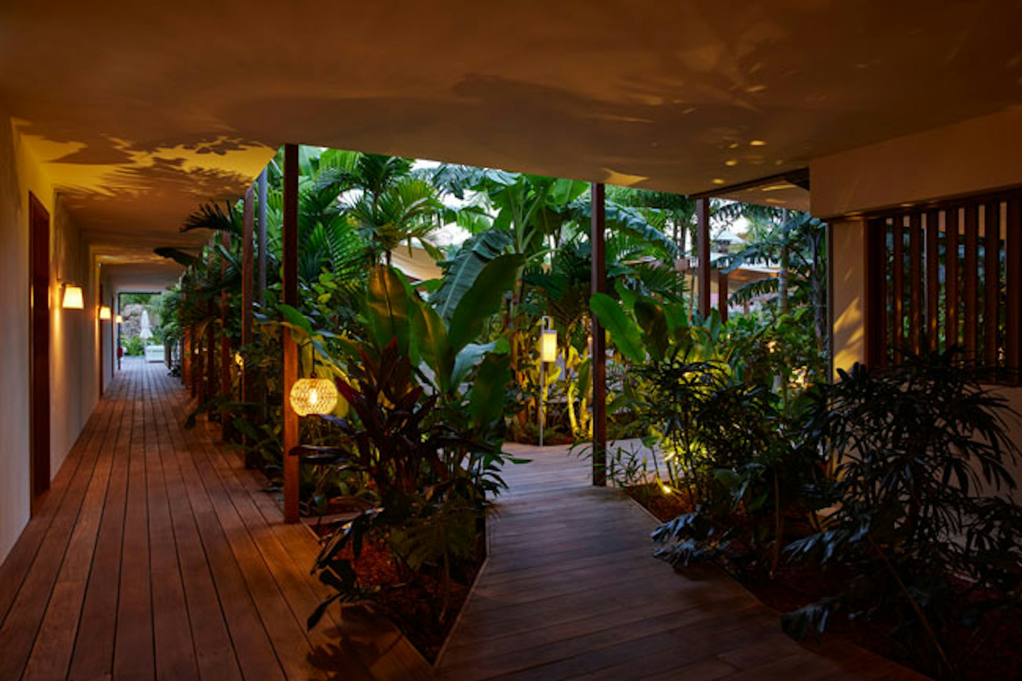 Tropical Hotel and Beach 36/46