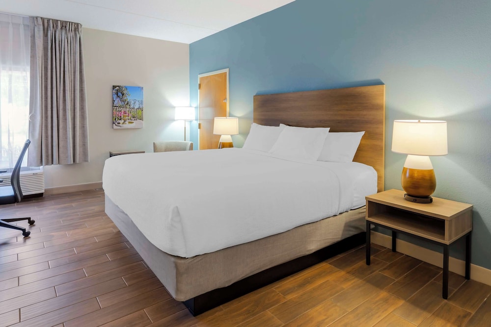 STANDARD, KING BED, ACCESSIBLE