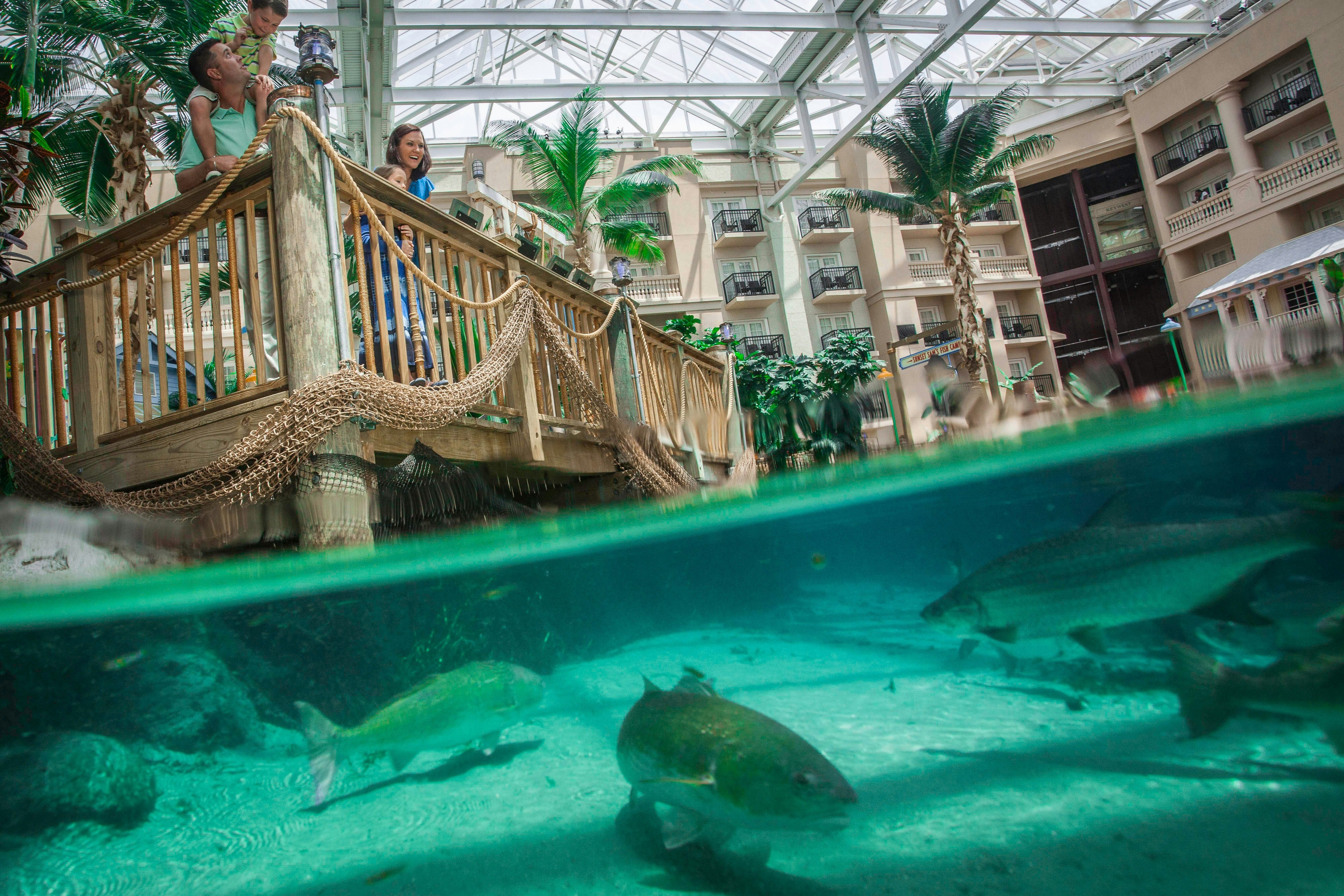 Gaylord Palms Resort & Convention Center 44/48