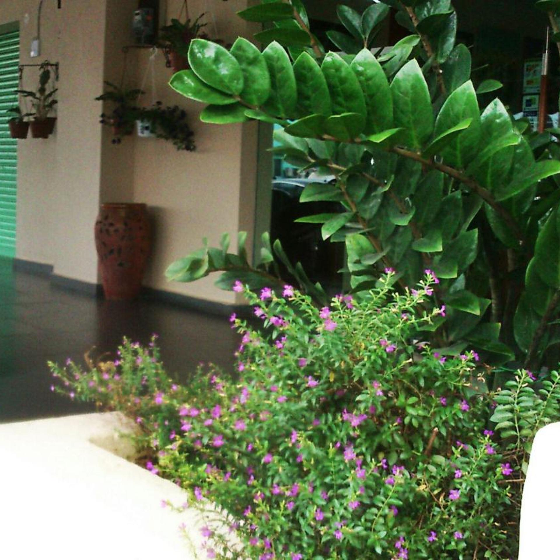 The Fern Lodge 28/32