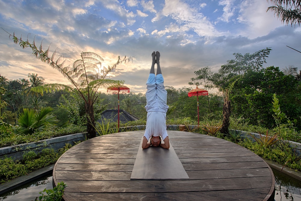 Nau Villa Ubud 41/61