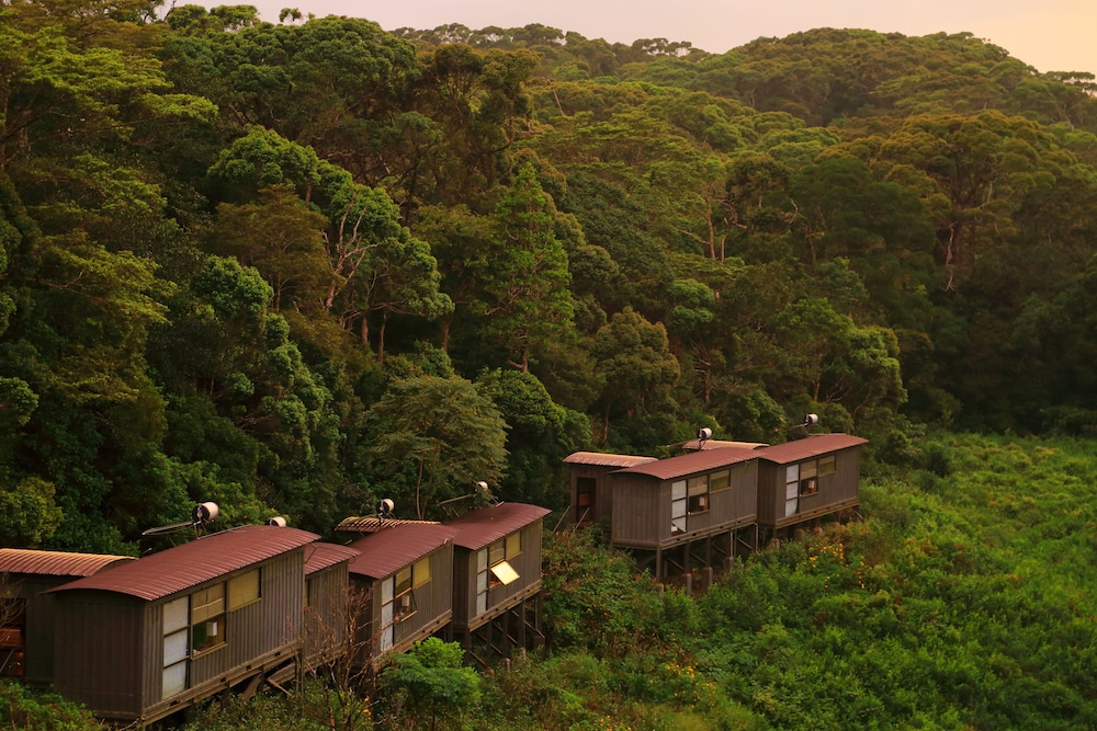 Rainforest Eco Lodge 37/41