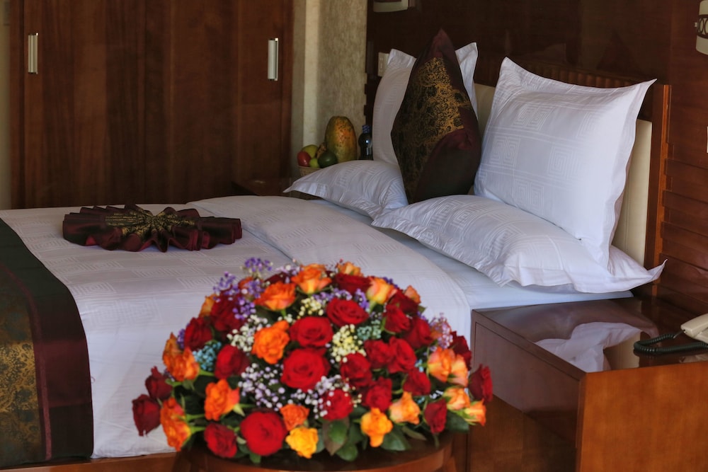 Marcen Addis Hotel 11/18