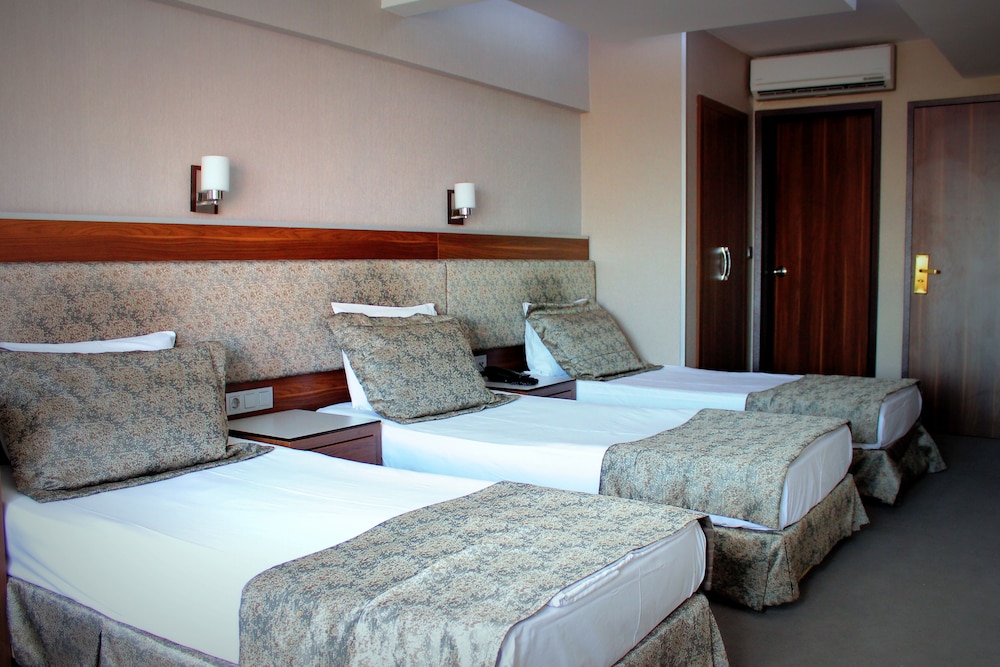 Hotel Buyuk Paris 13/50