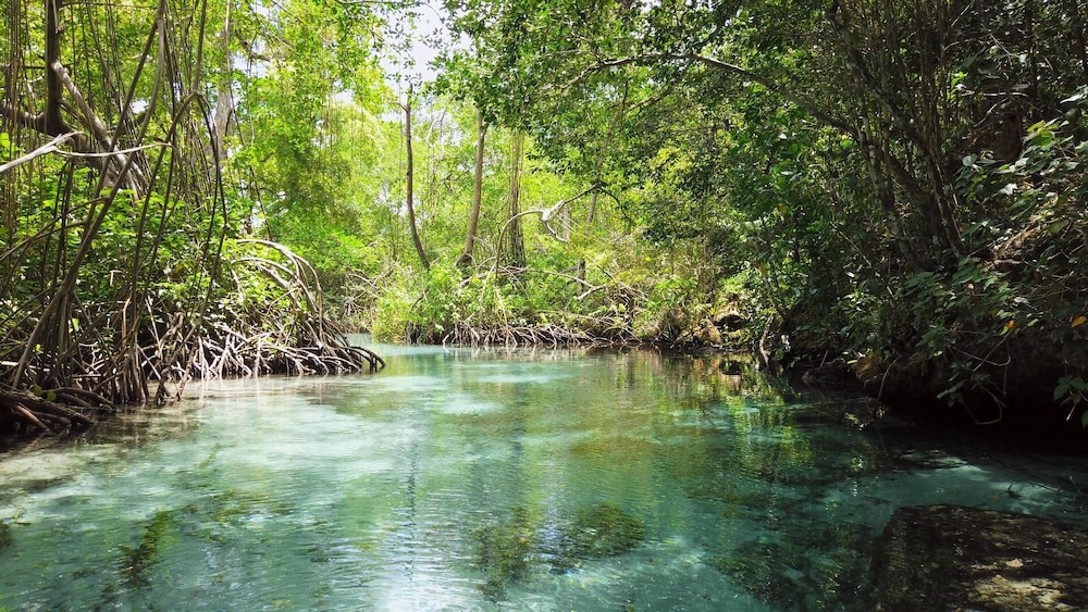 Paradiso del Caribe 37/50