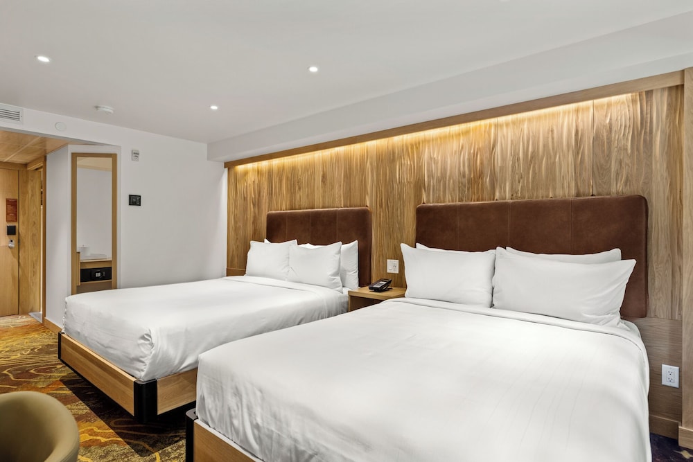 Otter Hotel 19/49