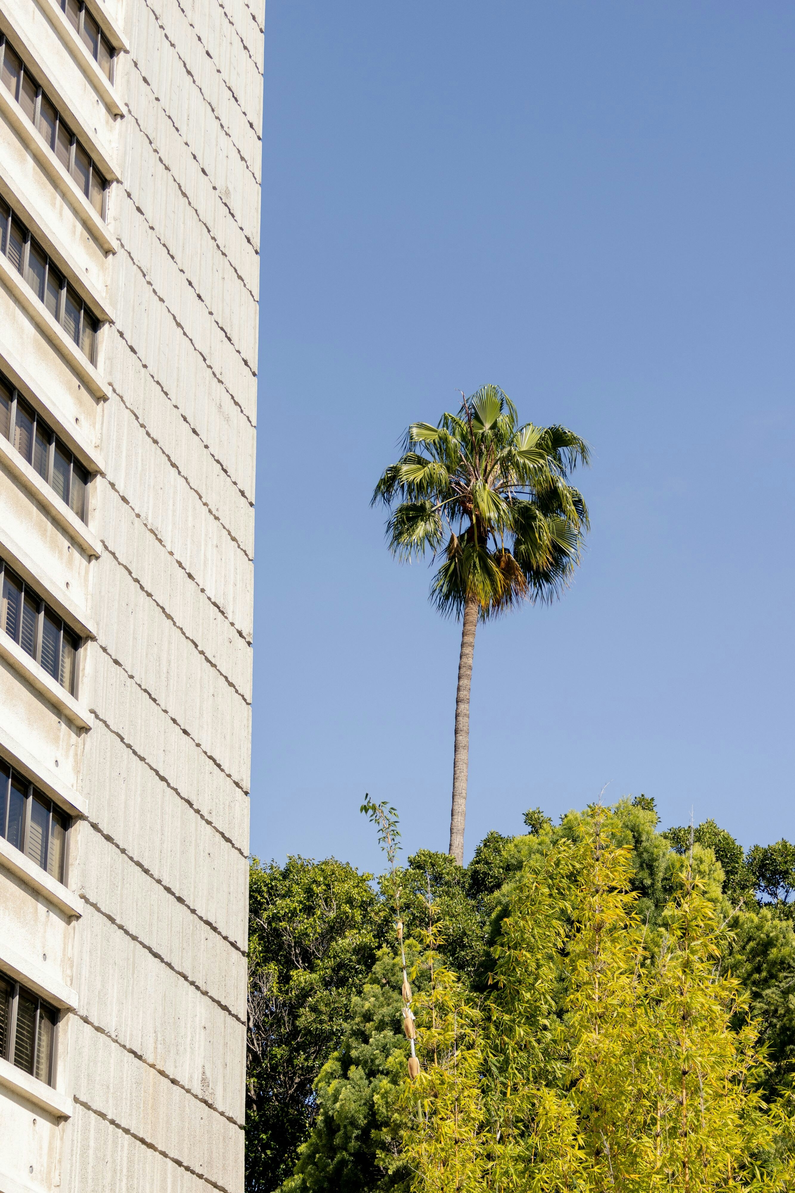 W Los Angeles West Beverly Hills 6/82