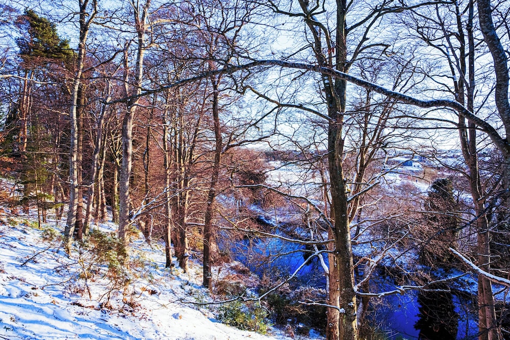 Darwin Cottage Self Catering In Elgin 44/50