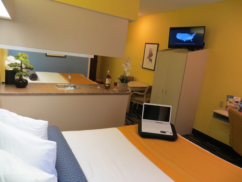 Microtel Inn Suites By Wyndham Stockbridge Atlanta I 75 14/58