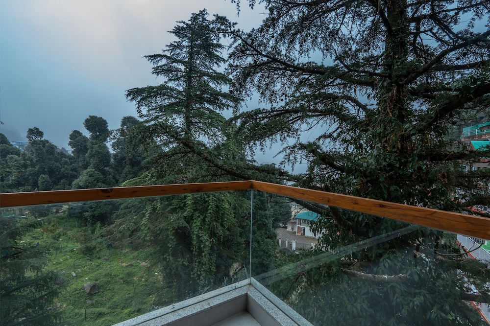 Mastiff Select Mandavya Dharamkot, McLeodganj 57/61