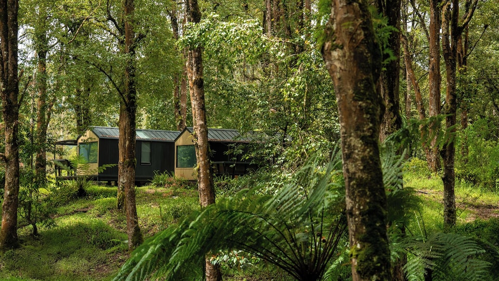 Bobocabin Ranca Upas 33/49