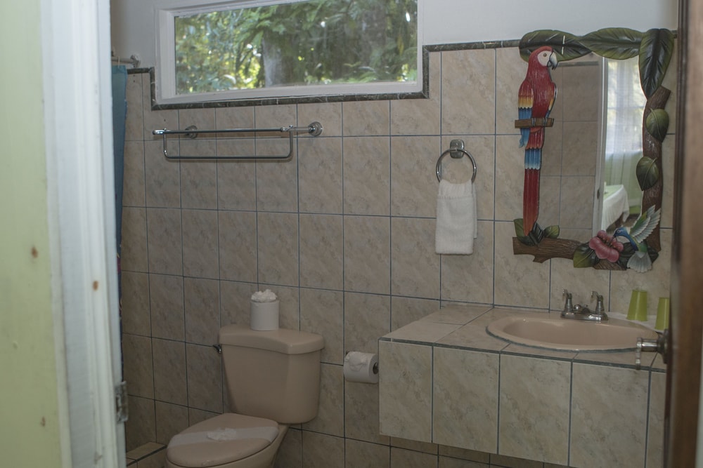 Caribbean Paradise Eco-Lodge 50/50