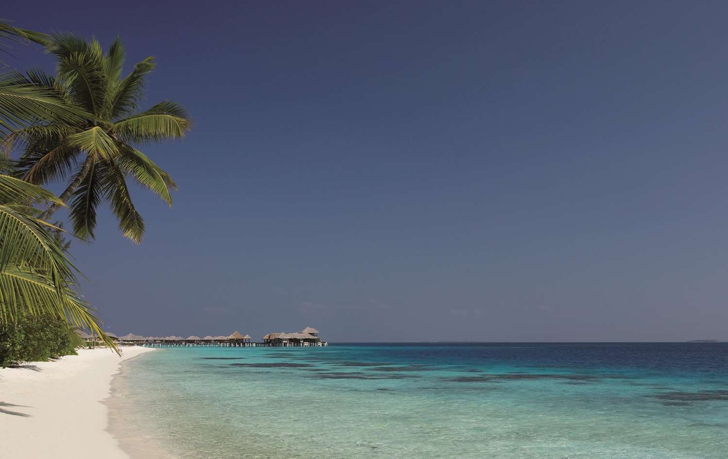 Coco Bodu Hithi 45/60