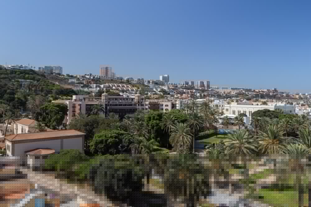 Occidental Las Palmas 50/51