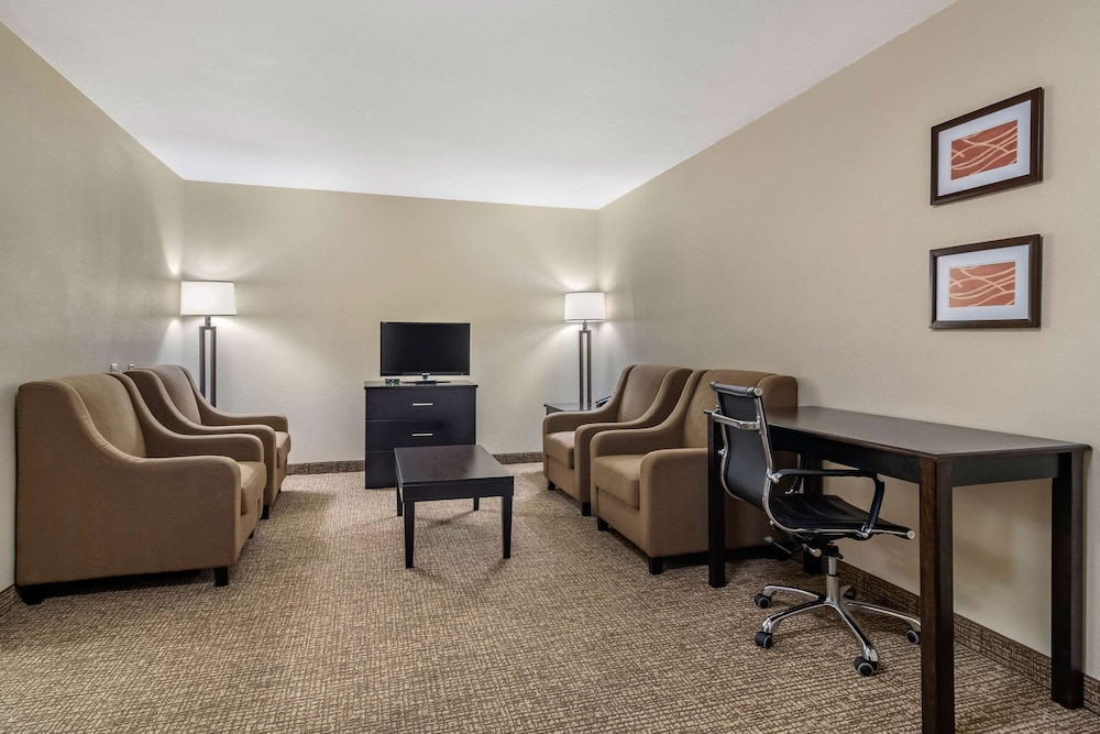 Comfort Inn & Suites Atlanta/Smyrna 32/35