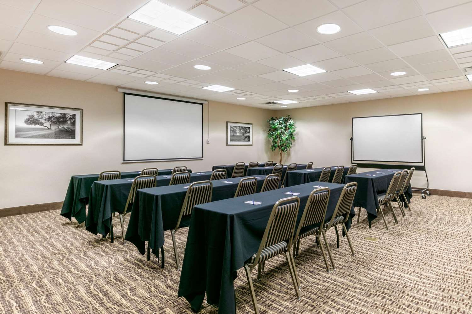 Comfort Suites Hopkinsville near Fort Campbell 13/15