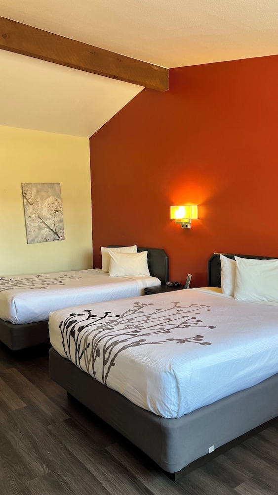Econo Lodge Inn & Suites Montrose - Black Canyon Area 9/47
