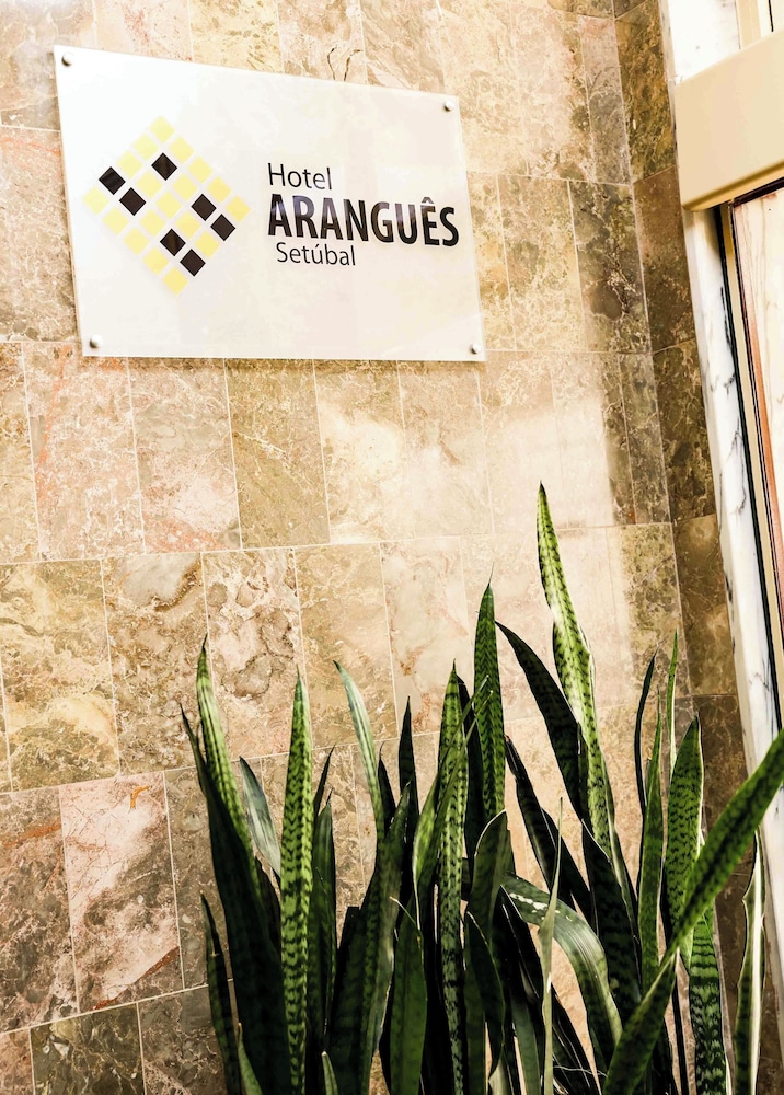 Arangues 6/74
