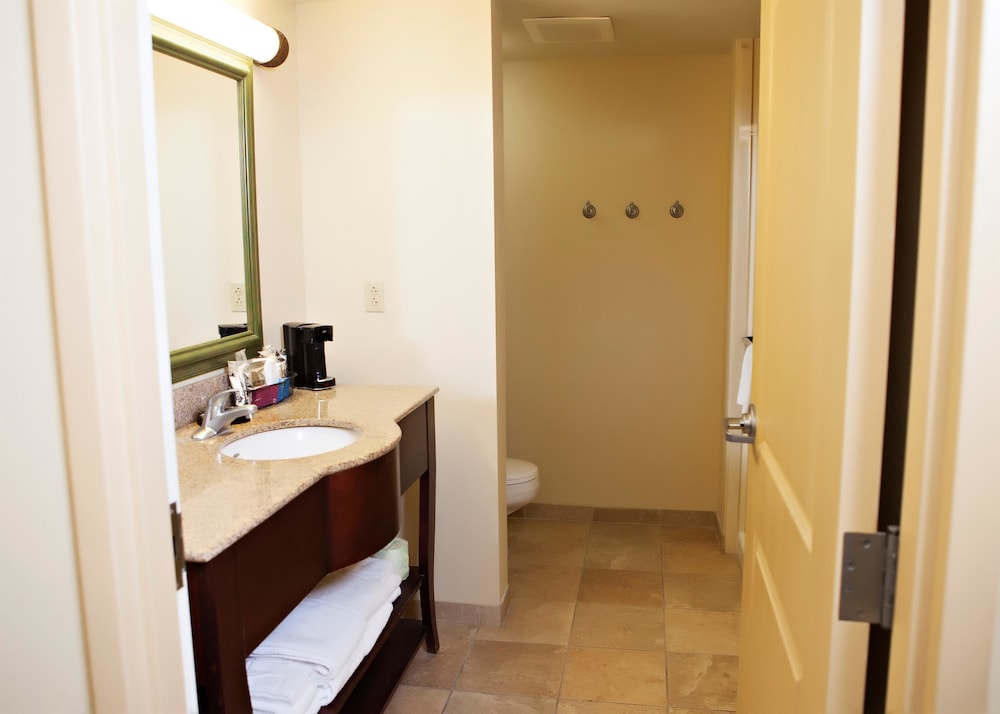 Hampton Inn Martin 16/43