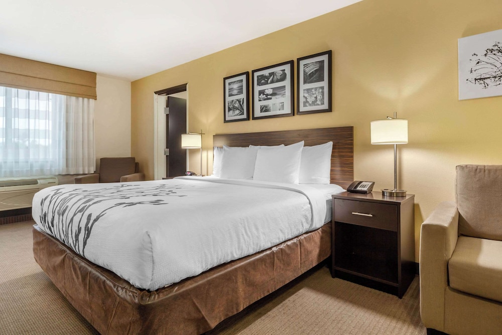 Suite, King Bed, Sofa, Accessible