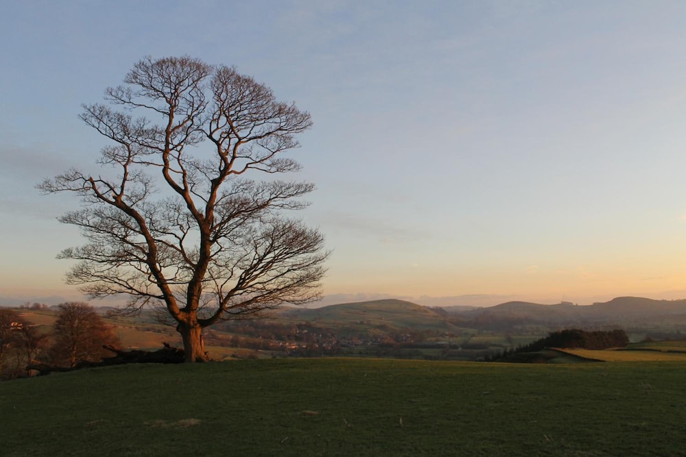 Biggin Hall Hotel 29/50